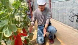 景点吃瓜网红,网红打卡，探寻景点美食新风尚