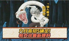 九月高招s忍爆料视频,s忍爆料视频深度解析